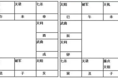 紫薇斗数太阴的排法