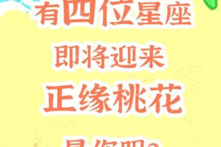 八字桃花运亦有吉凶之分