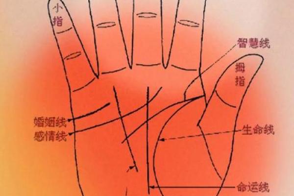 八字算命手相占卜