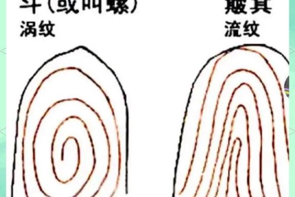 手相算命图解指纹的奥秘