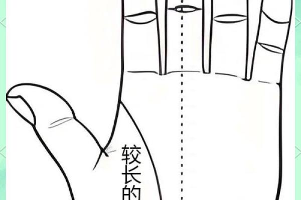 看手相算命生命线 手相图解生命线怎么看 看手相算命生命线 手相图解生命线怎么看