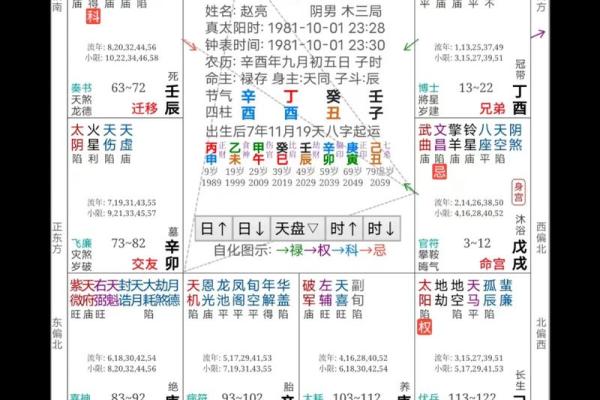 关于紫薇斗数软件安卓破解版的信息