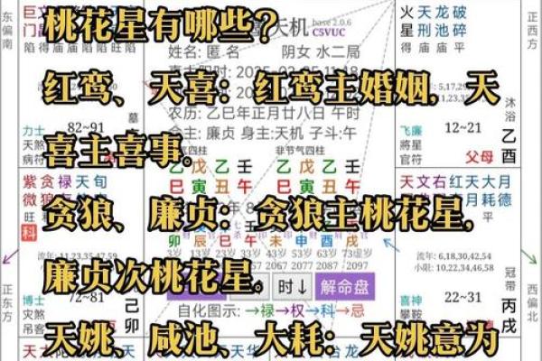 紫薇斗数看才子