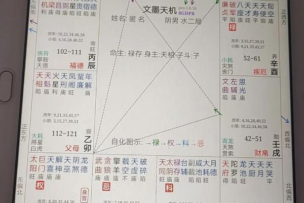 紫薇斗数忌在身宫文昌的简单介绍