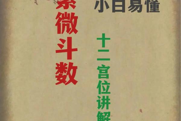 紫薇斗数举门宫