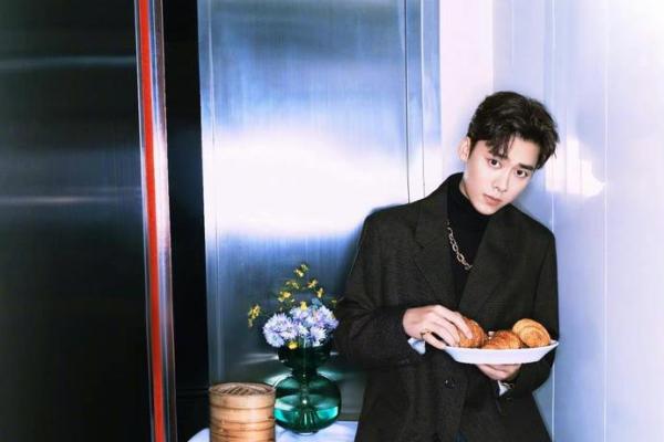 李易峰八字分析