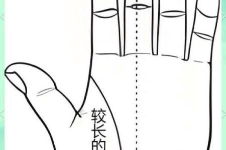 看手相算命生命线 手相图解生命线怎么看
