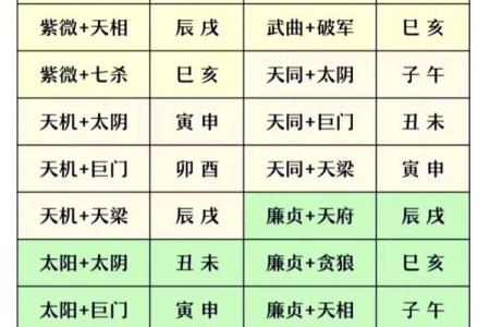 紫薇斗数盘每排文字代表什么