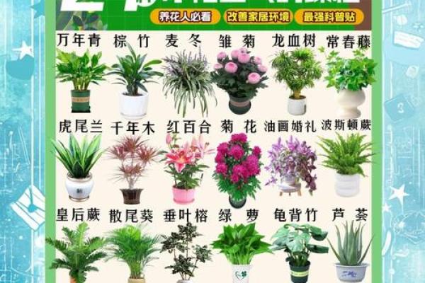 室内盆栽植物的介绍和风水作用 室内盆栽植物的介绍和风水作用