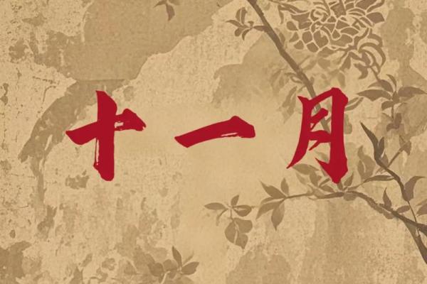 生辰八字解析-2024年农历十一月初十出生的孩子好吗 生辰八字解析-2024年农历十一月初十出生的孩子好吗