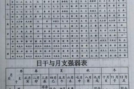 适合从政的八字特点