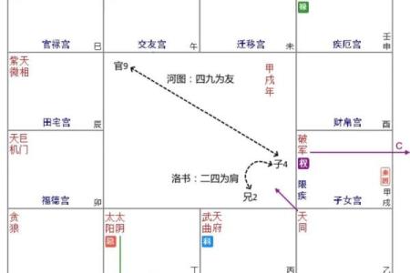 紫薇斗数没有入格局