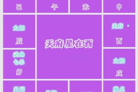 紫薇斗数命宫酉宫