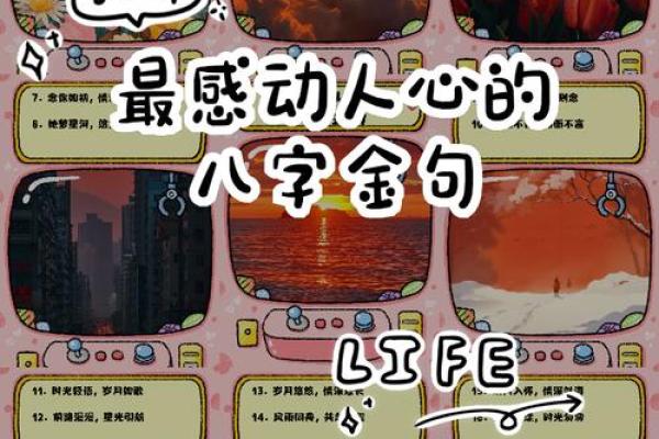 正版麦玲玲算八字语对话