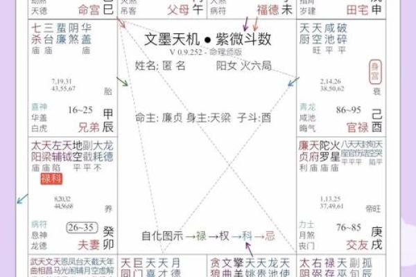 紫微斗数天马星之十二宫释义