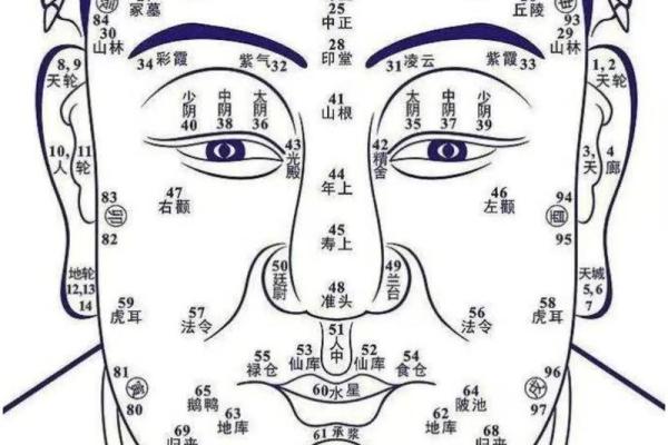 面相风水下垂眼的人命运好不好