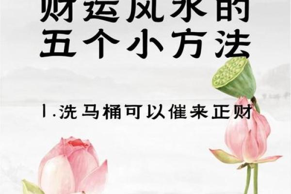 2024年旺财运的最佳方法 家中风水摆放指南