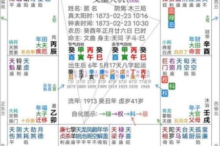 紫薇斗数凶格局