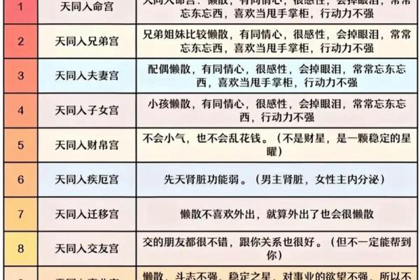 紫薇斗数能看出什么
