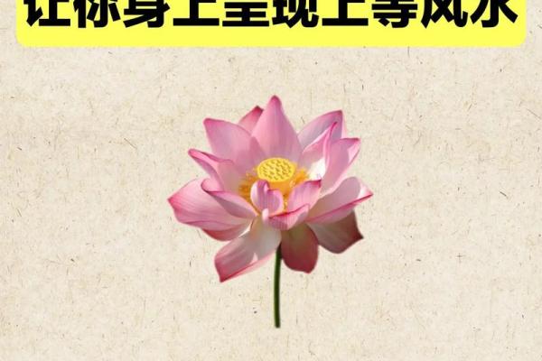 看懂大门风水，让你增添鸿运，步步高升