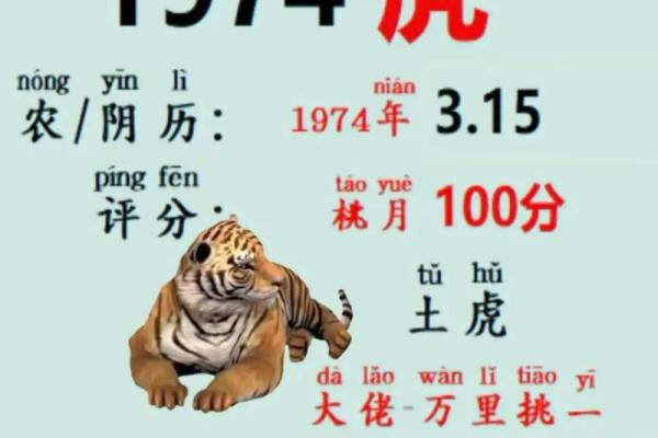 台湾算命网,台湾版八字算命 台湾算命网,台湾版八字算命