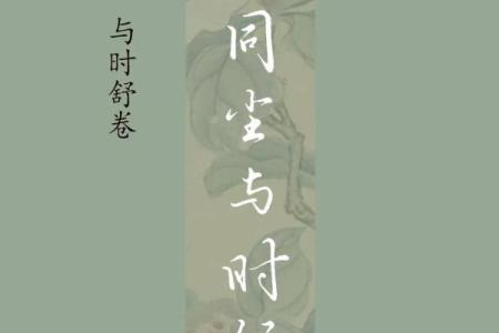 纯阳八字百年难遇 纯阳八字何以百年难遇