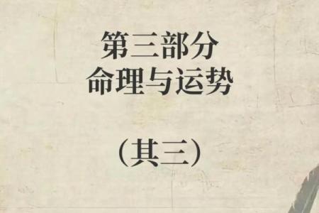 曲炜周易：四柱八字断应期秘法