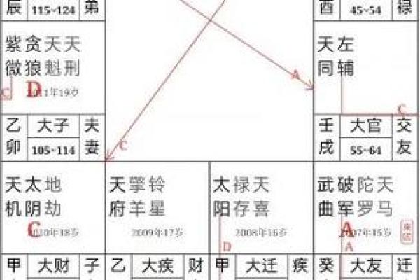 紫薇斗数兄弟破军