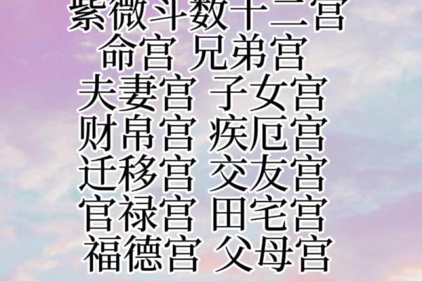 紫薇斗数事业宫在哪