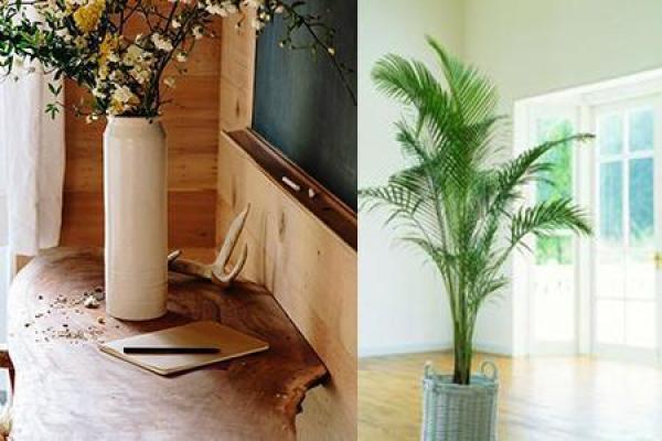 家中破旧东西处理风水 家中破旧东西处理风水