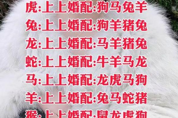 合八字属鼠男与属兔女适合做夫妻吗 婚配好吗