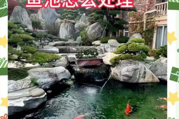 楼顶养鱼 风水