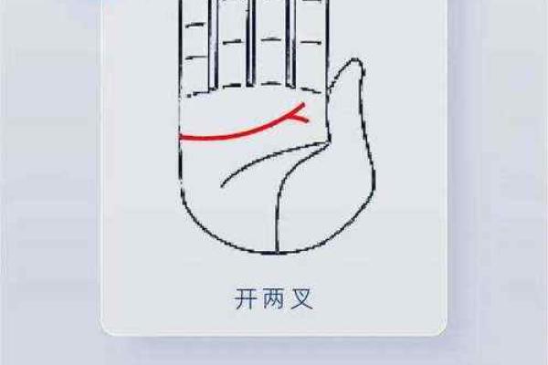 八字看婚姻线和命运线图解 八字看婚姻线和命运线图解