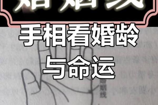 八字看婚姻线和命运线图解 八字看婚姻线和命运线图解