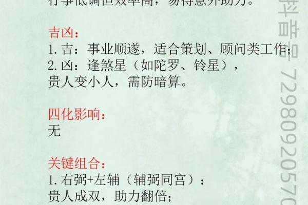 紫微星入命宫与其他星曜之关系分析#紫微斗数教学