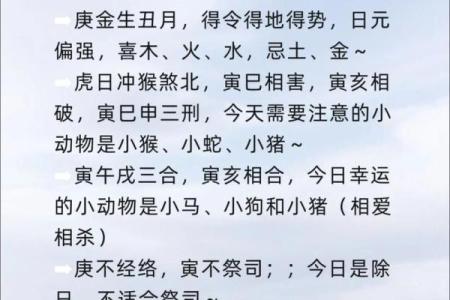 八字四柱乙亥好不好