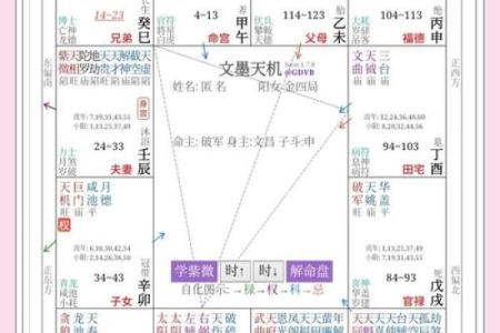 紫薇斗数怎么从看到配偶的学历