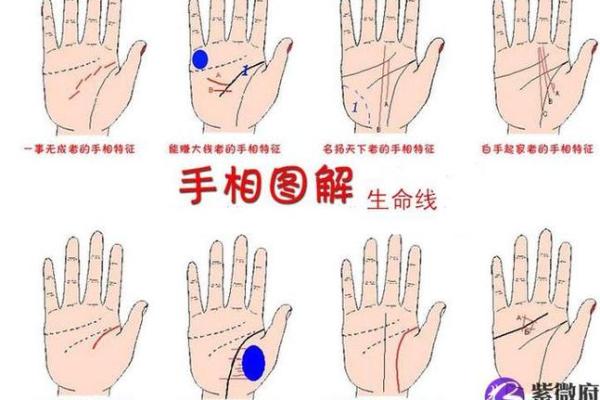 手相算命:生命线断开图解 手相算命:生命线断开图解