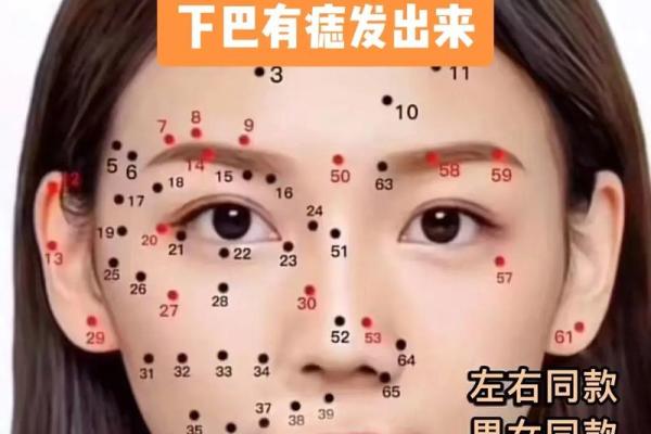 下巴算命看人生,面相下巴看你的人生祸福 下巴算命看人生,面相下巴看你的人生祸福