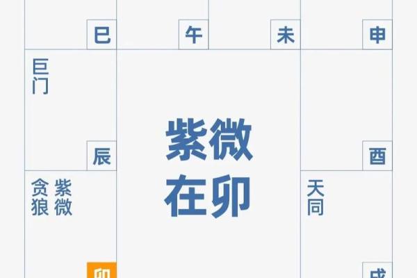 紫薇斗数元贞利