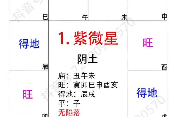 紫微斗数副曜 紫微斗数 副星? 紫微斗数副曜 紫微斗数 副星?