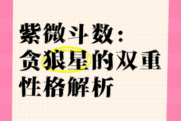 紫微斗数－贪狼星