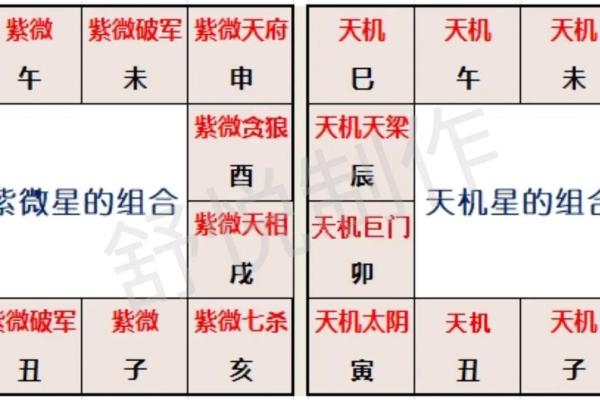紫薇斗数主星组合