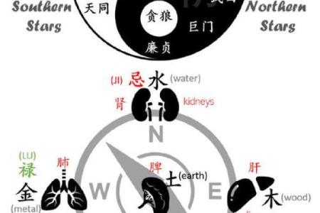 紫微斗数之命宫四化飞星是什么意思？