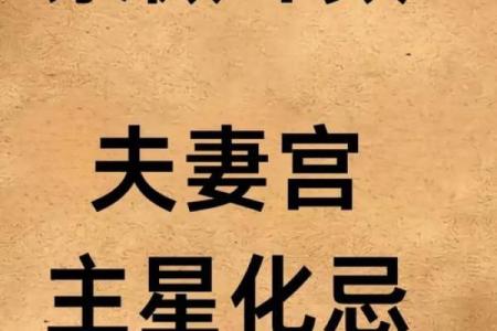 羊刃在官禄宫#紫微斗数