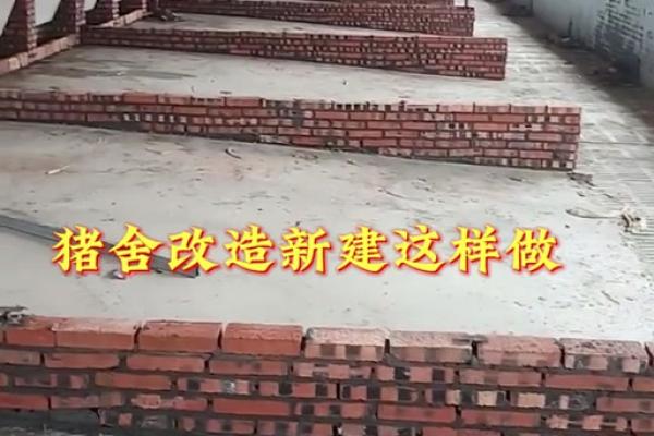 农村猪圈风水 农村猪圈风水布局