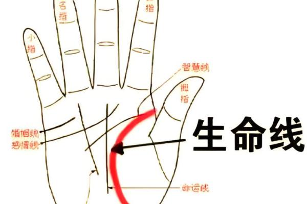 风水断掌的男人的命好不好