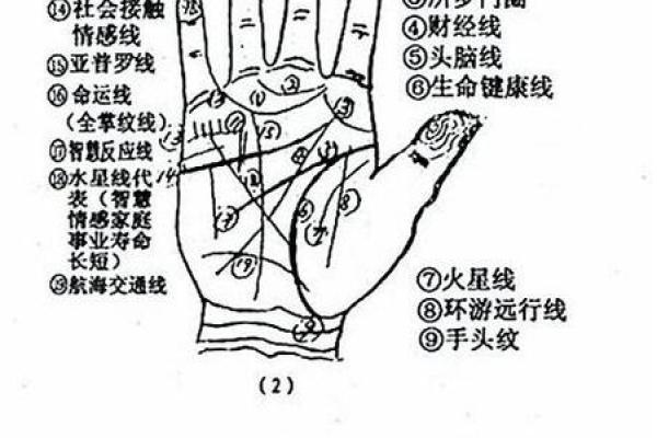 看手相算命图解：掌线