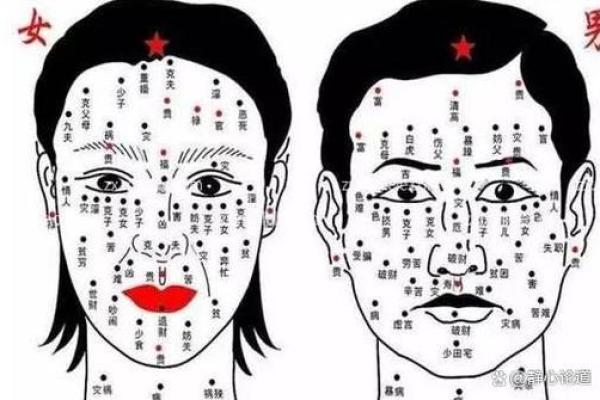 六害眉面相算命图解 六害眉面相算命图解