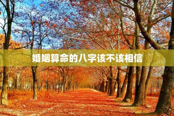 到底该不该相信算命? 到底该不该相信算命?